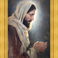 Our Light