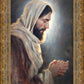 Our Light