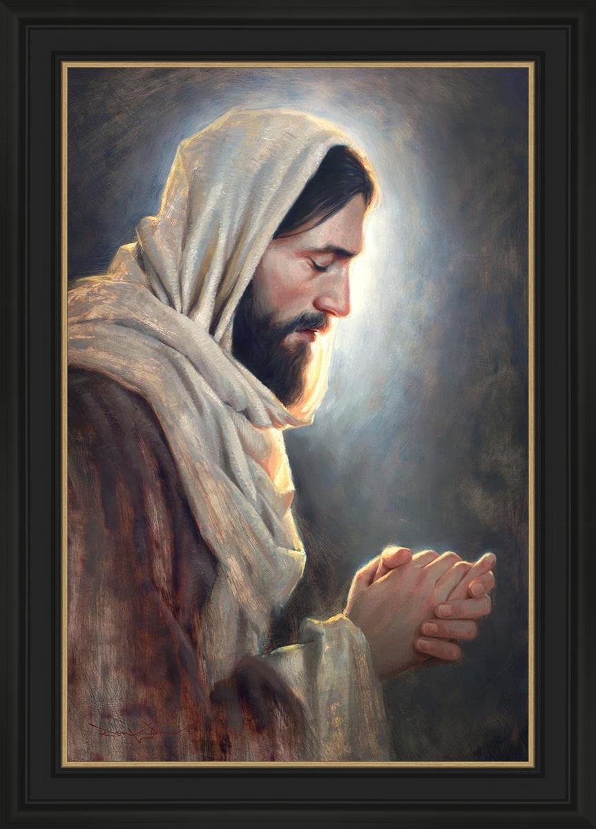 Our Light