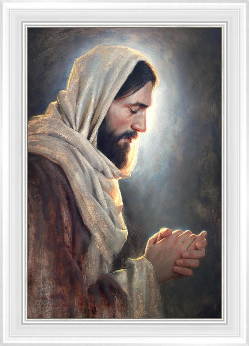 Our Light