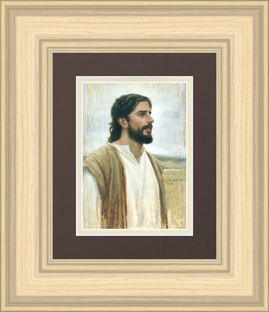 Clarity In His Mission