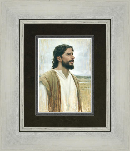 Clarity In His Mission