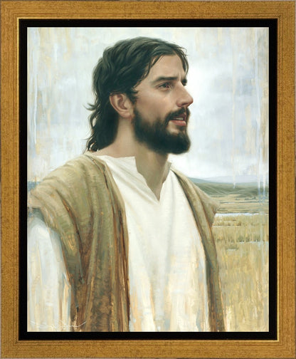 Clarity In His Mission