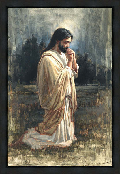 For Those Who Will Believe in Me