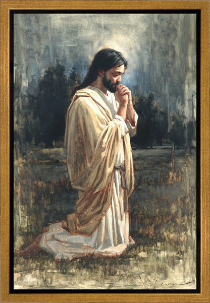 For Those Who Will Believe in Me