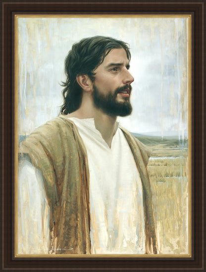 Clarity In His Mission