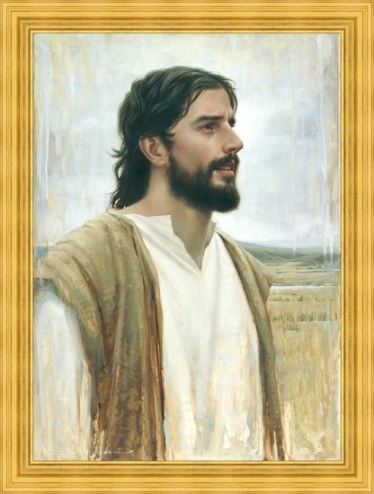 Clarity In His Mission