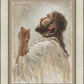Light of Redemption