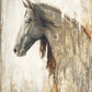 Nobility