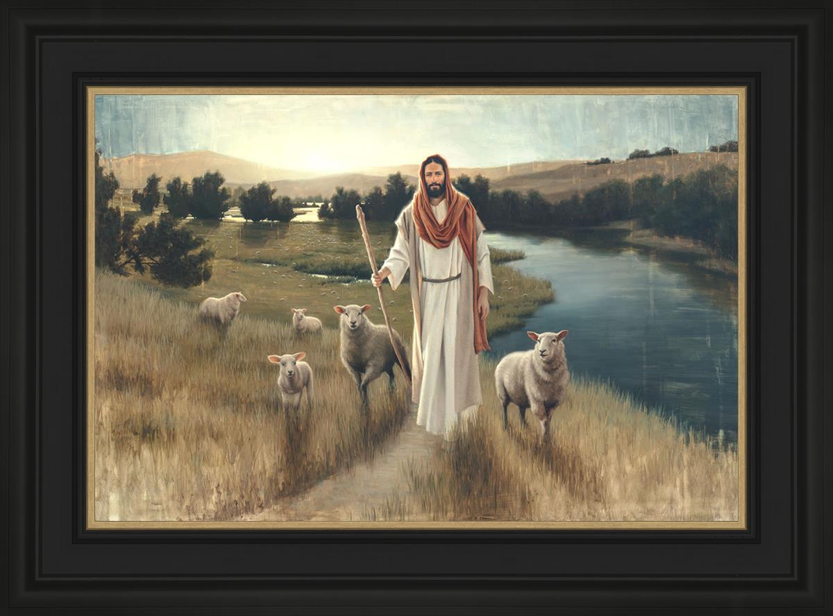 The Rescue
