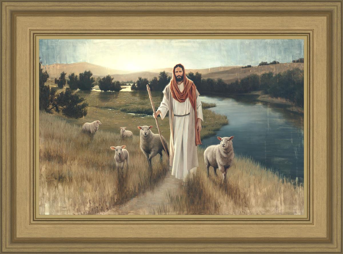 The Rescue