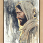 Not My Will But Thine