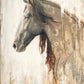 Nobility