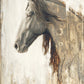 Nobility