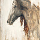 Nobility