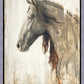 Nobility