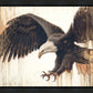 Liberty