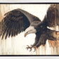 Liberty