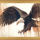 Liberty