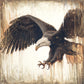 Liberty