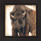 Strength