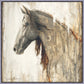 Nobility