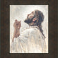The Light of Redemption