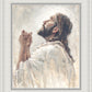The Light of Redemption
