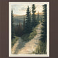 The Road Less Traveled