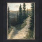 The Road Less Traveled