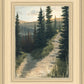 The Road Less Traveled