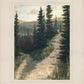 The Road Less Traveled