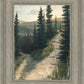 The Road Less Traveled