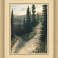The Road Less Traveled
