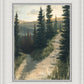 The Road Less Traveled