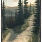 The Road Less Traveled