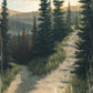 The Road Less Traveled