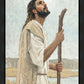 Our Shepherd