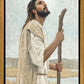 Our Shepherd