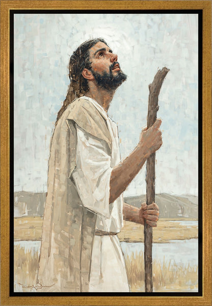 Our Shepherd