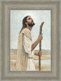 Our Shepherd