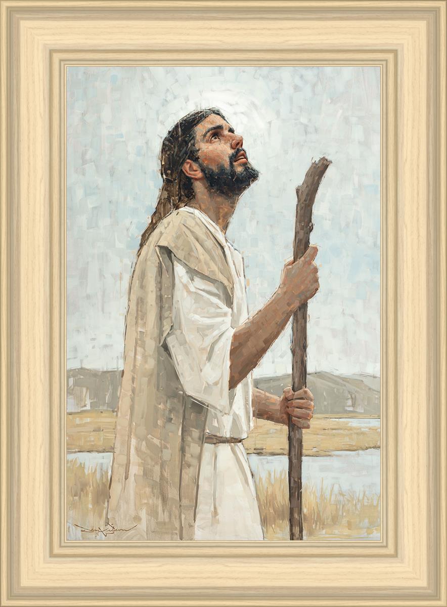Our Shepherd