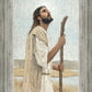 Our Shepherd