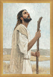 Our Shepherd