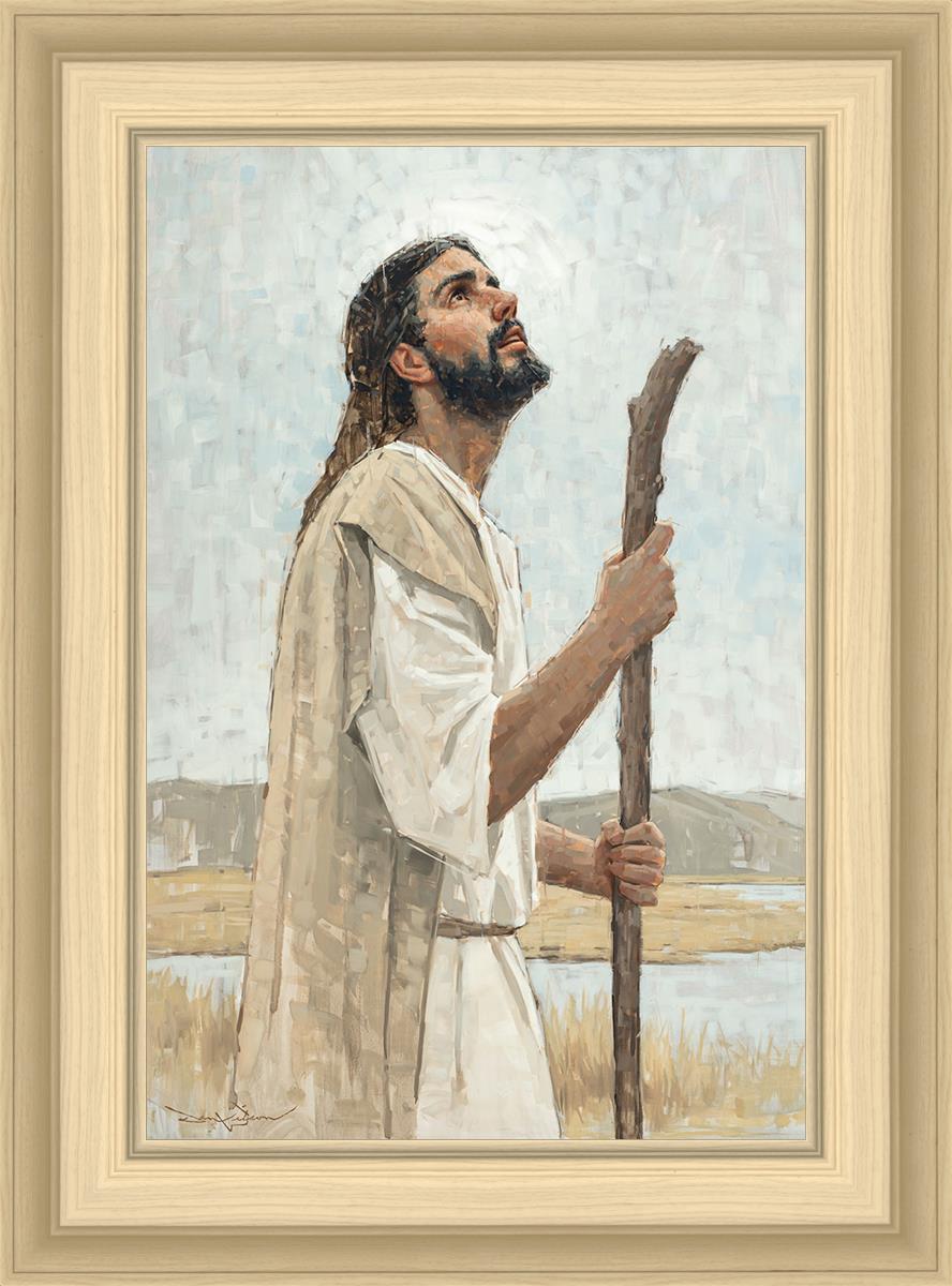 Our Shepherd