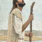 Our Shepherd
