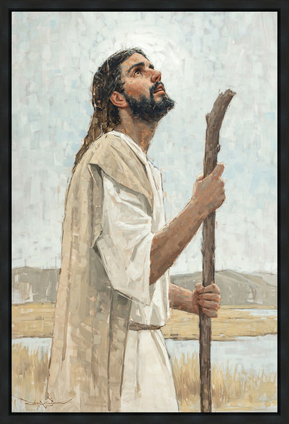 Our Shepherd