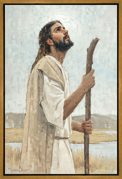 Our Shepherd