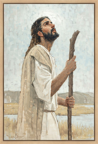 Our Shepherd