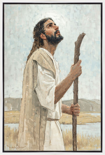 Our Shepherd